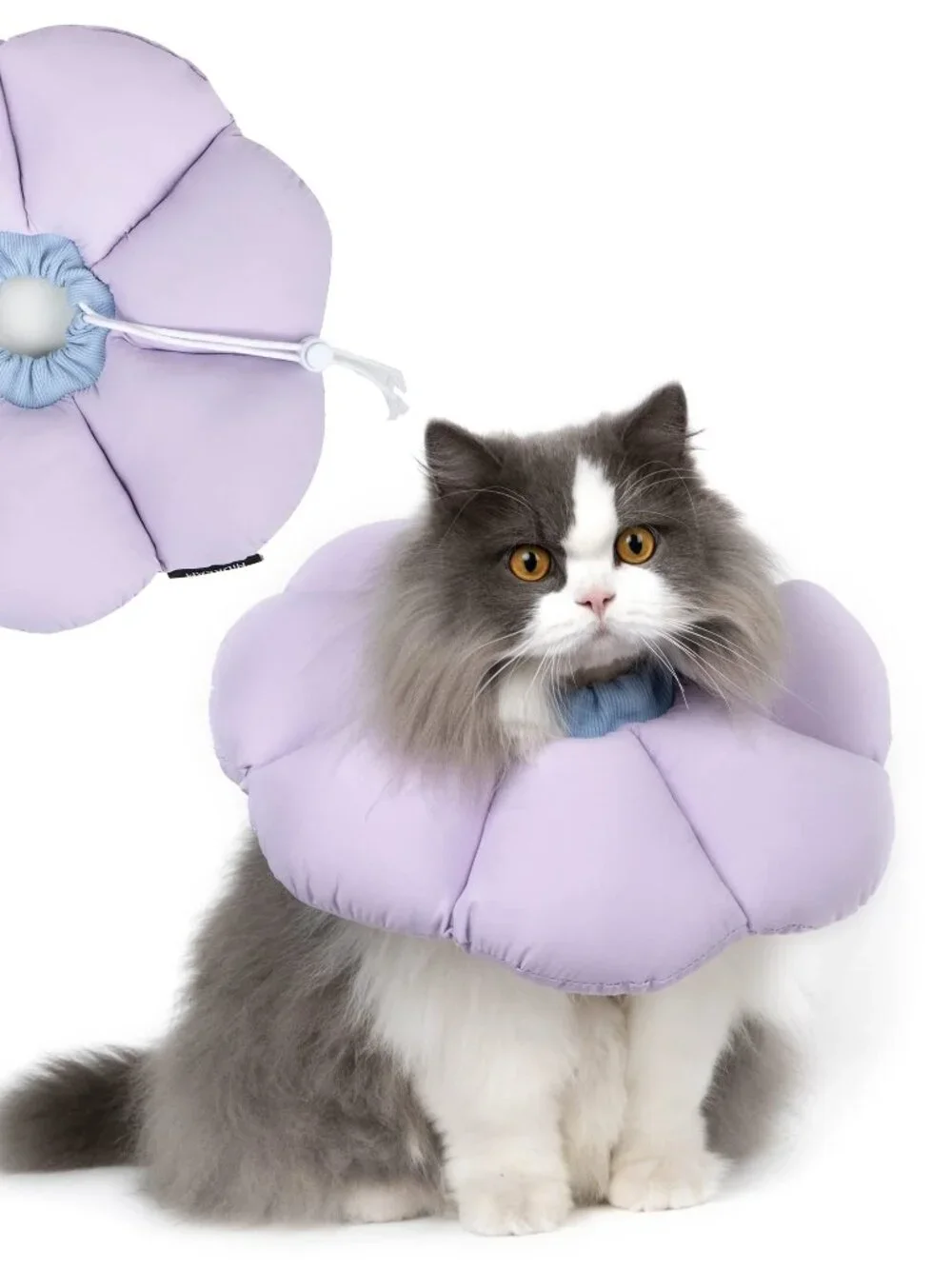 Cat Cone Collar N8628
